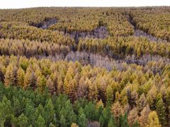 -塞罕坝国家级自然保护区