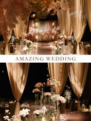 -美薇亭婚礼顾问