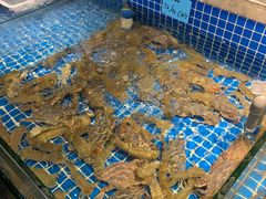 -小时候焗海鲜(鄞州万达店)
