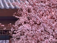 -堤角公园