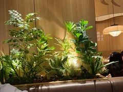 -太二酸菜鱼(天鹅湖万达店)