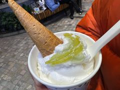-Vola Gelato意大利手工冰淇淋(朝阳大悦城店)