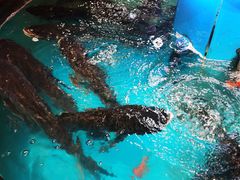 -魏铭鱼头捞饭(晋阳路店)