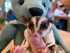 -maan coffee漫咖啡(通州店)