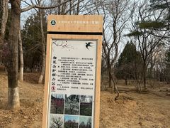 -北京鹫峰国家森林公园