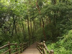 -洛阳白云山景区