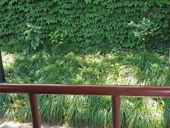 -75幢私房菜馆