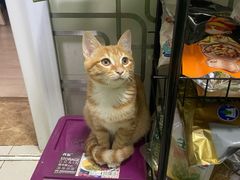 -艾贝尔宠物医院 ·中兽医·宠保定点(北门桥店)