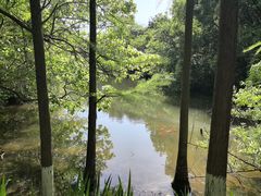 -天目湖山水园