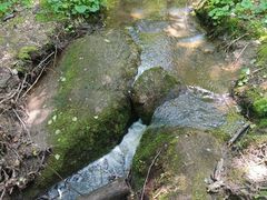 -汤旺河林海奇石景区