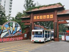 -北海金海湾红树林生态旅游区