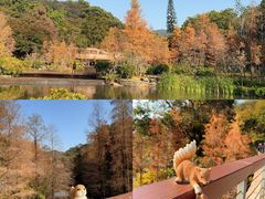 -云溪植物园