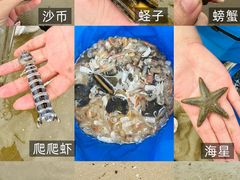 -万尾金滩