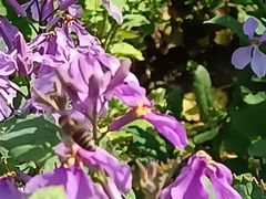 -白塘生态植物园