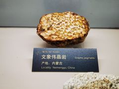 -中国地质博物馆