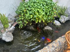 -梵天禅寺
