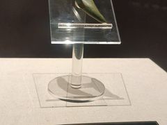-汕头市博物馆