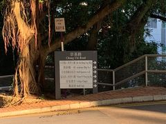 -大埔公路-马料水段香港中文大学(公交站)