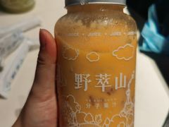 -野萃山·潮汕厚果汁(十亩地店)