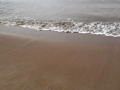 -花岙岛