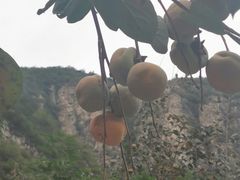 -快活林烧烤(红新路店)