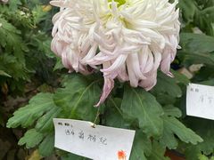 -汇龙潭
