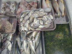 -海之鲜大排档(东山海鲜金銮湾店)