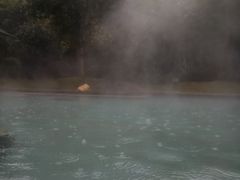 -咸宁万豪温泉谷度假区