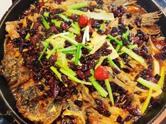 -老板恋上鱼(高新万达店)