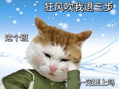 -海底捞火锅(京华城亲子主题店)