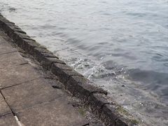 -威海国际海水浴场旅游区