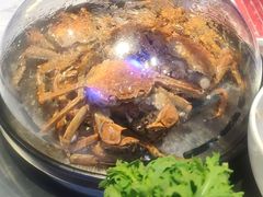 -半岛听涛蒸汽海鲜自助(K11店)