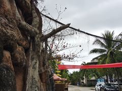 -三亚海棠湾南田温泉神龙谷