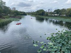 -新江湾城公园