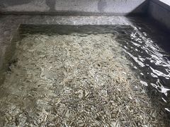 -明谷行馆·温泉