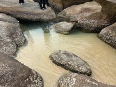 -惠州金海湾嘉华度假酒店