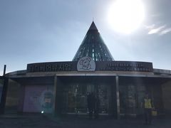 -济州岛泰迪熊博物馆