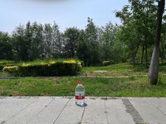 -莫子山公园