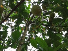 -南通洲际绿博园