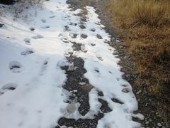 -定都峰