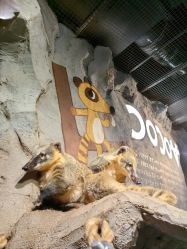 -Zoolung Zoolung动物主题公园(海信广场店)