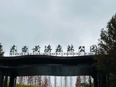 -黄海国家森林公园