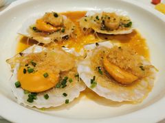 蒜蓉粉丝蒸扇贝-梦都海鲜酒家(万达广场江桥店)