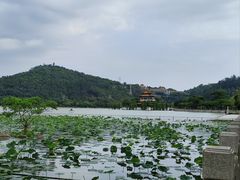 -顺峰山公园
