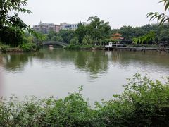 -雨湖公园