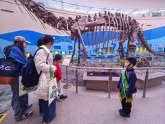 -陕西自然博物馆