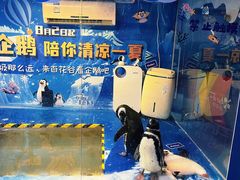 -沙沙哗啦海洋馆(华宇百花谷店)