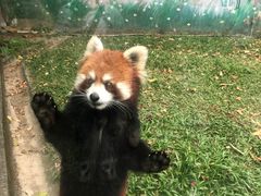 -东部华侨城
