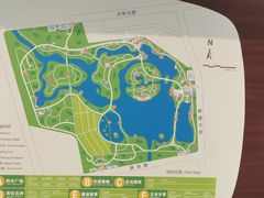 -大兴滨河森林公园