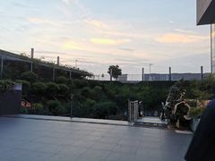 -羊山湖公园